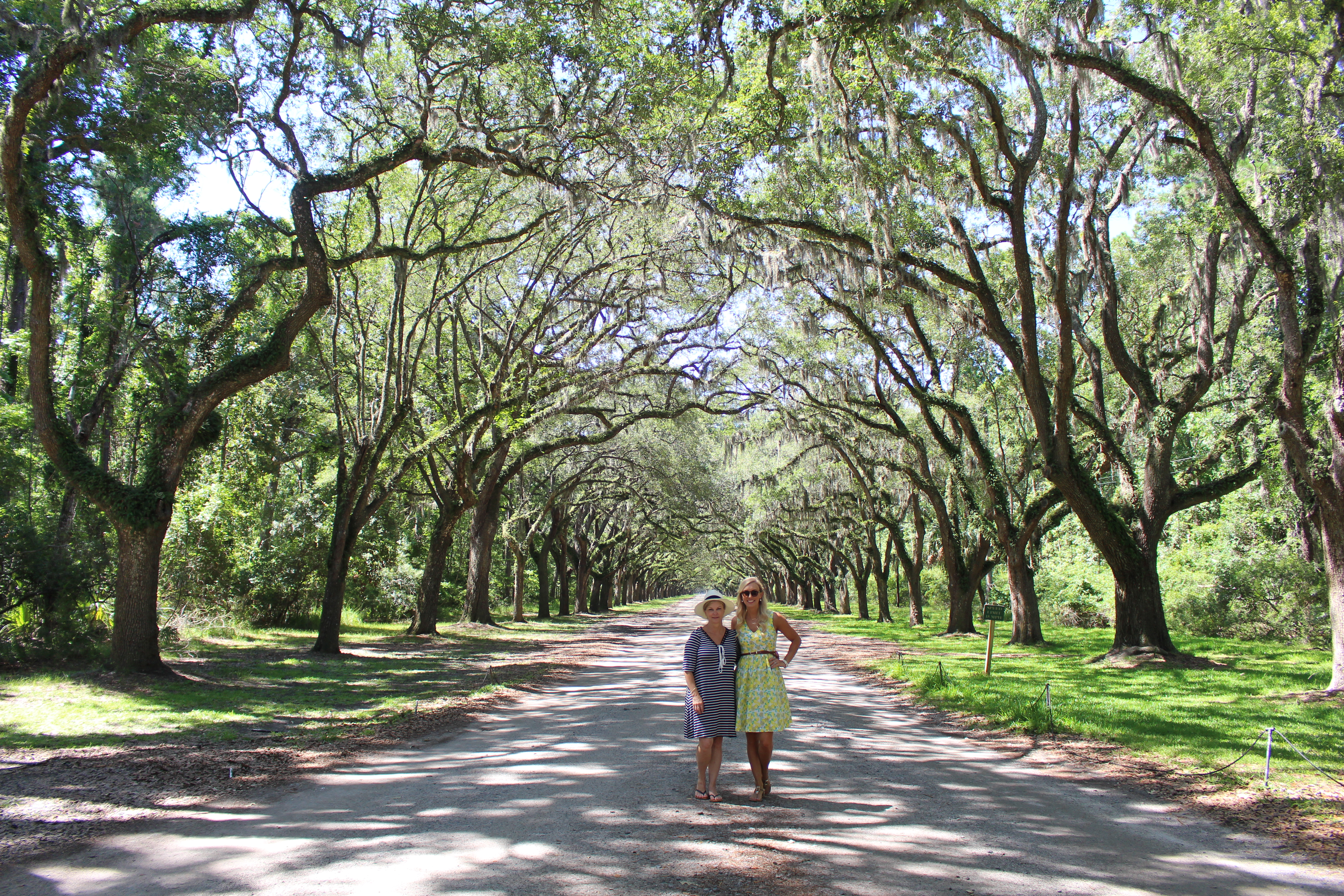 wormsloe-historic-site-savannah-georgia-tourist