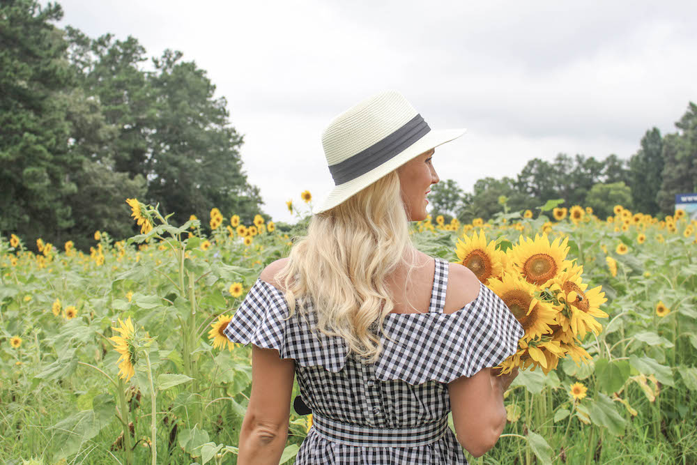sunflower-field-north-georia