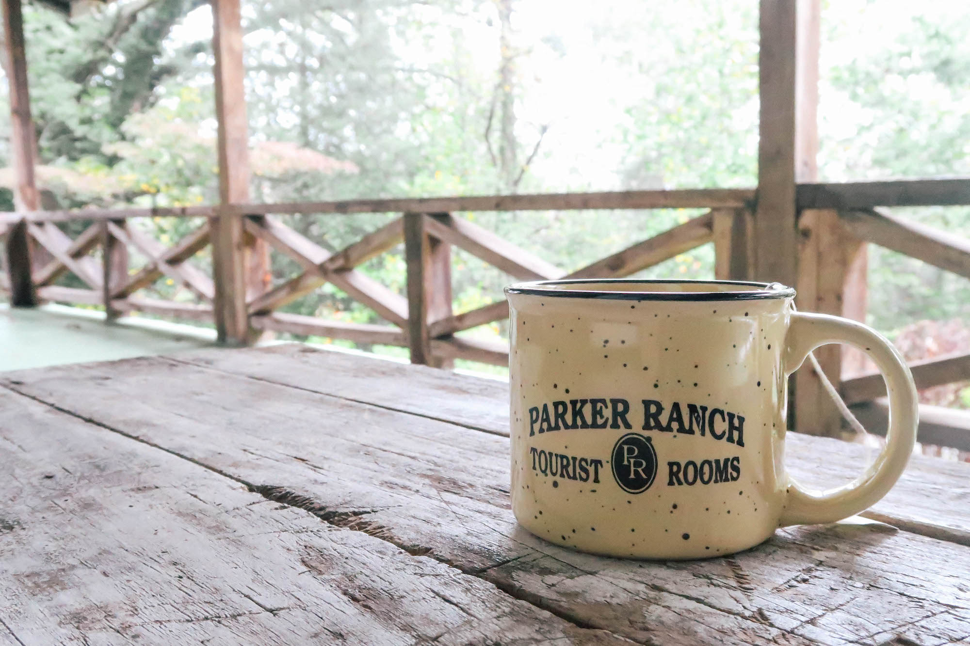 The-Parker-Ranch-B&B-Clayton-GA