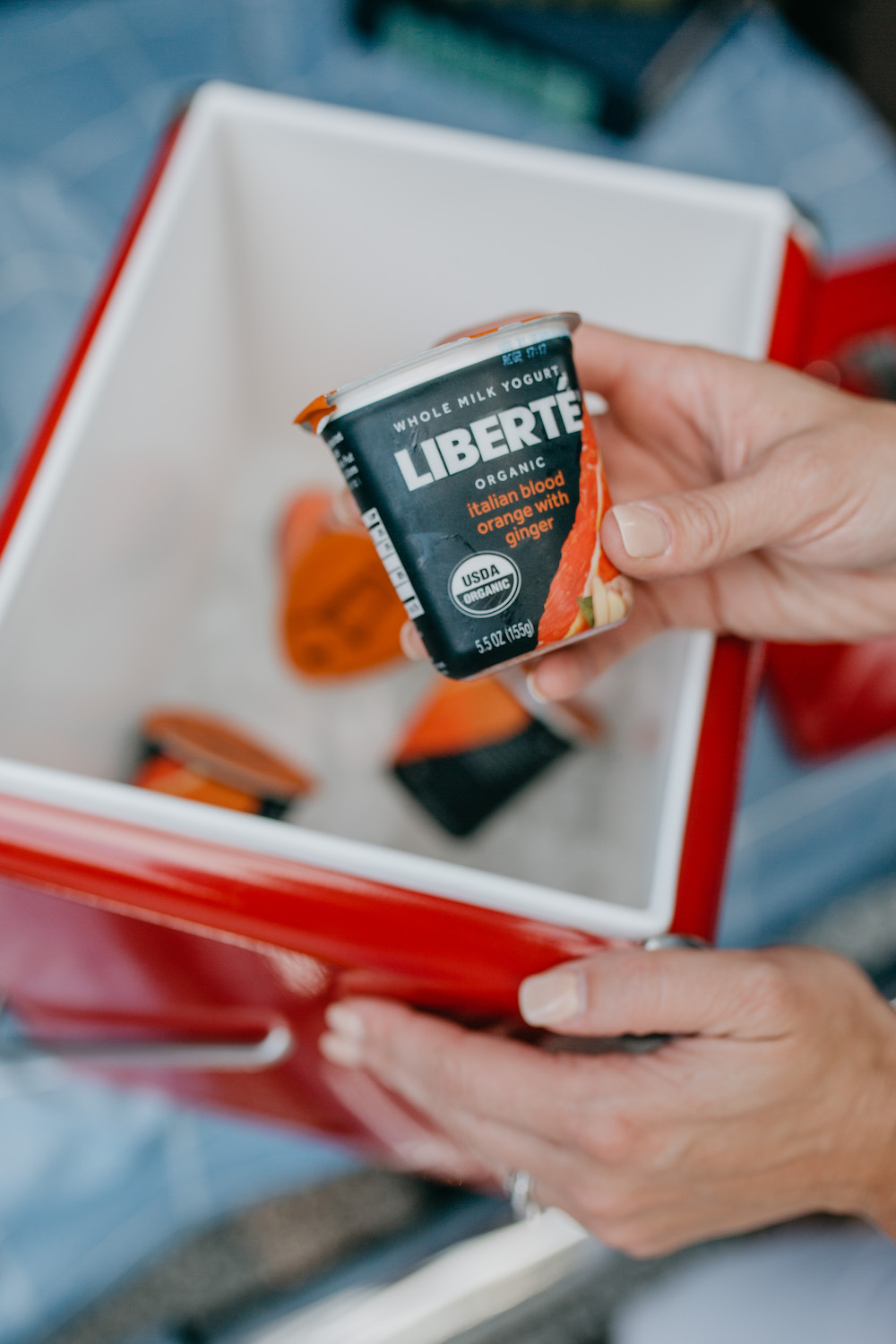 roadtrip-liberte-yogurt