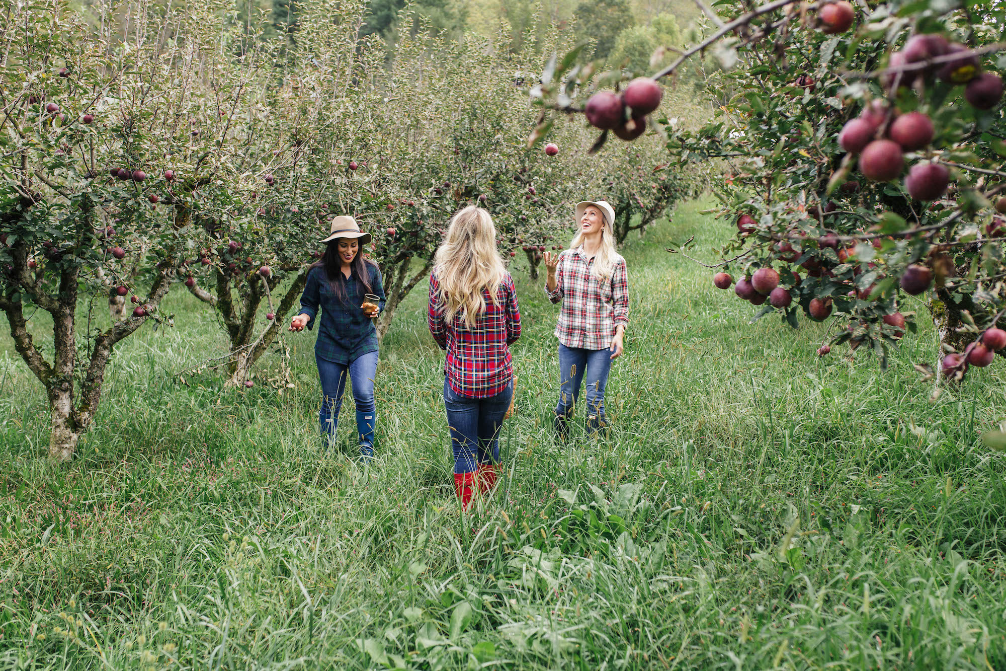 Atlanta-Bloggers-Apple-Picking-Orchard