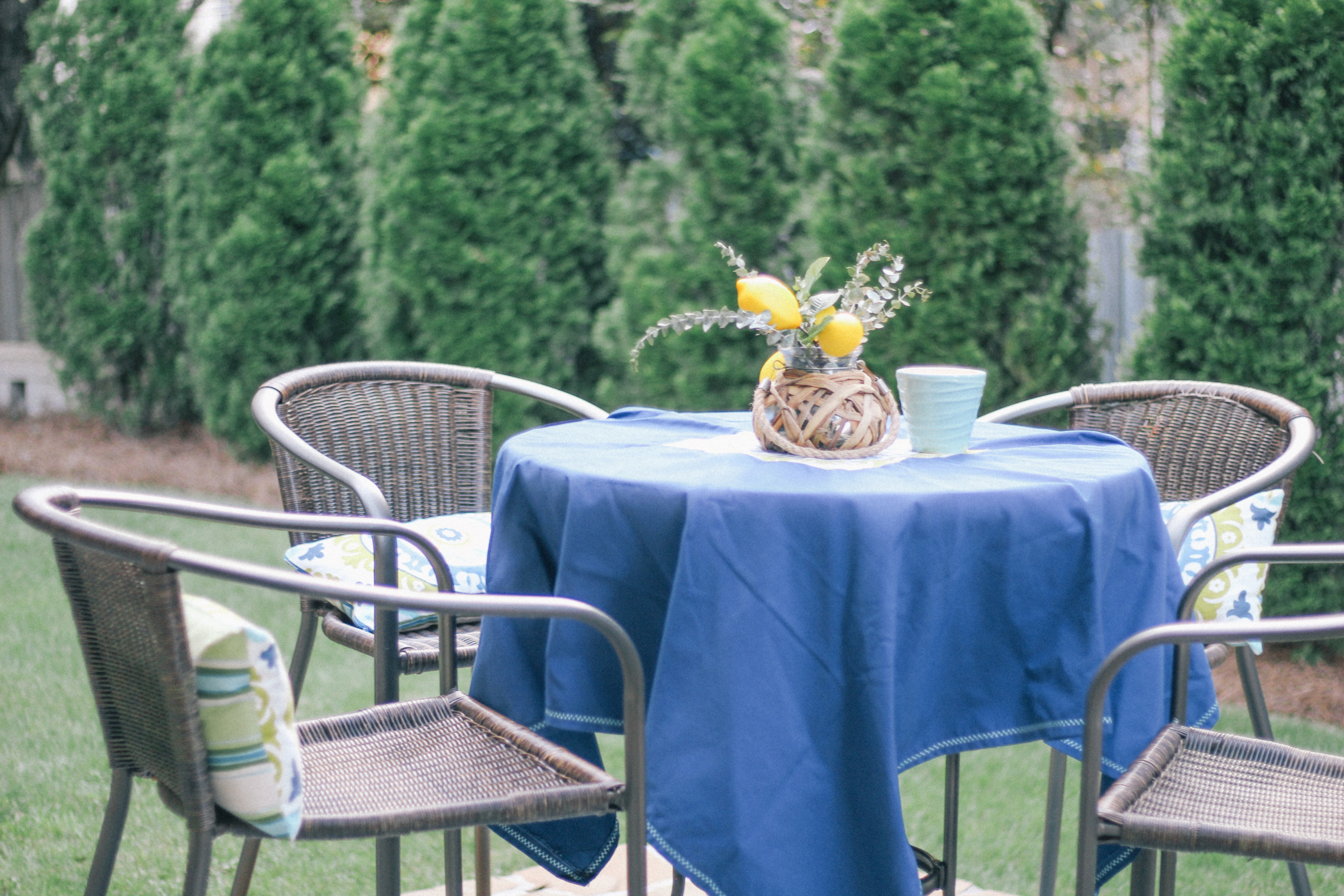 DIY-Backyard-Makeover-Tour-7981