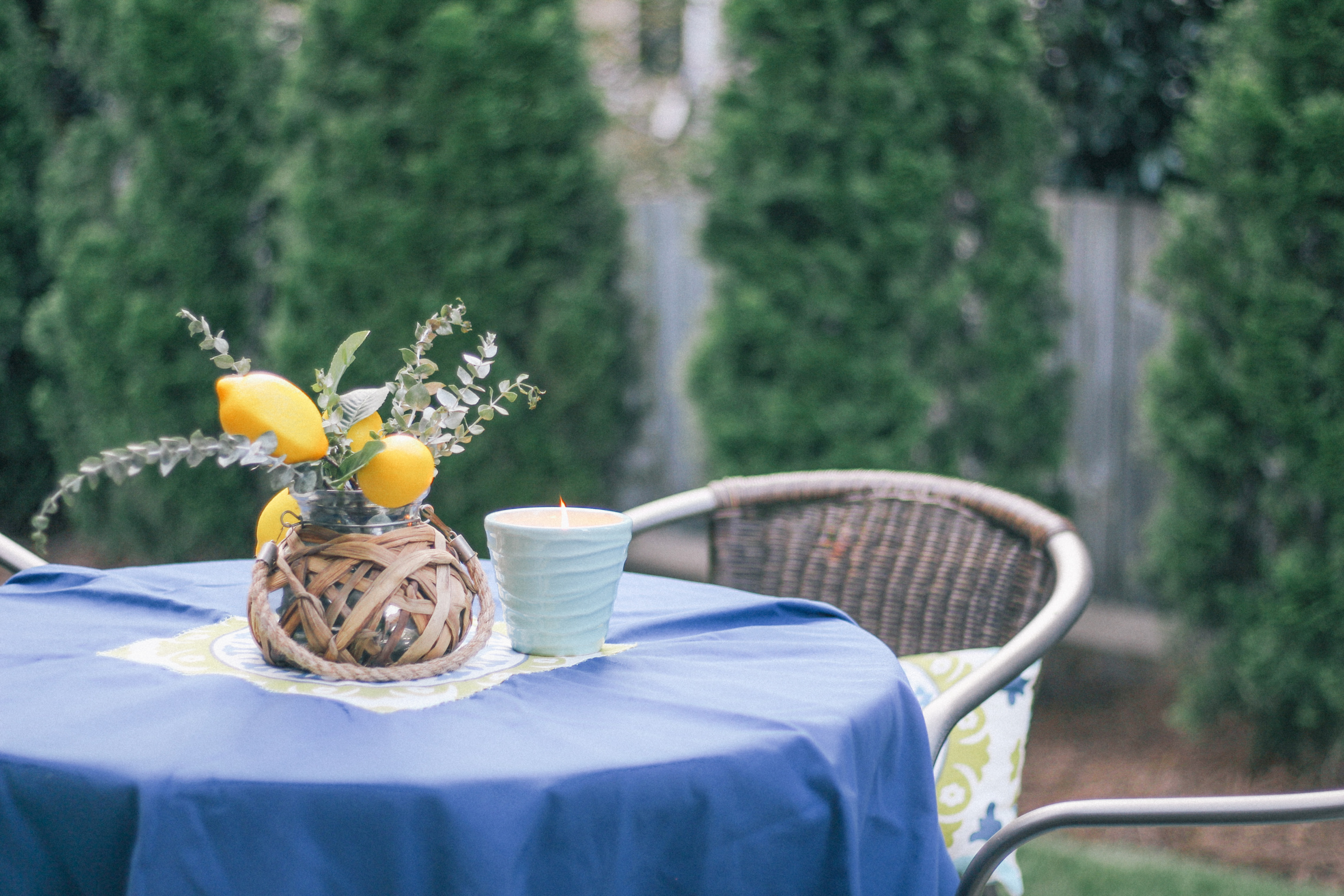 DIY-Backyard-Makeover-Tour-7985