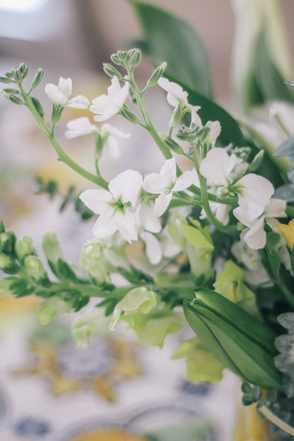 Lemon-Themed-Amalfi-Dinner-Party-7885