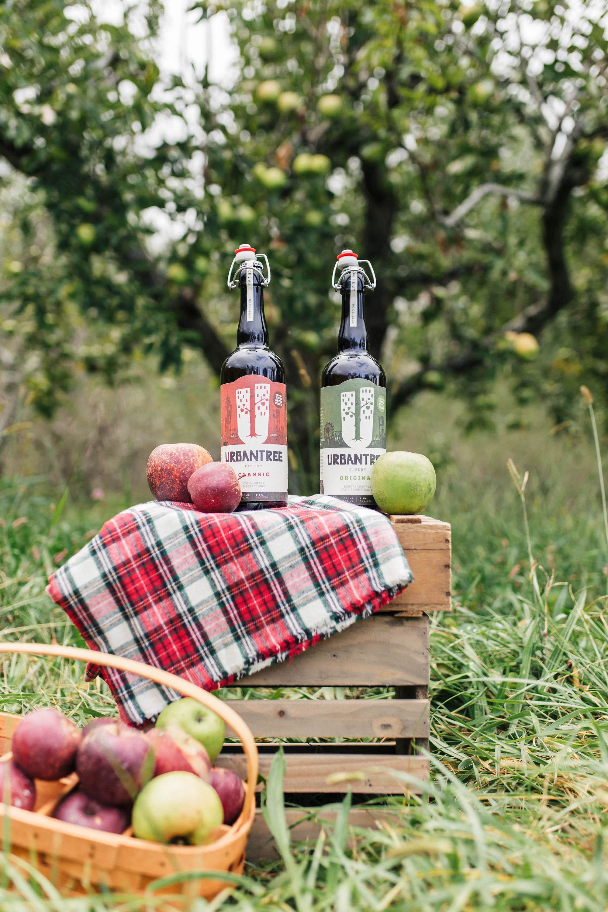 Urban-Tree-Cidery-Atlanta-GA