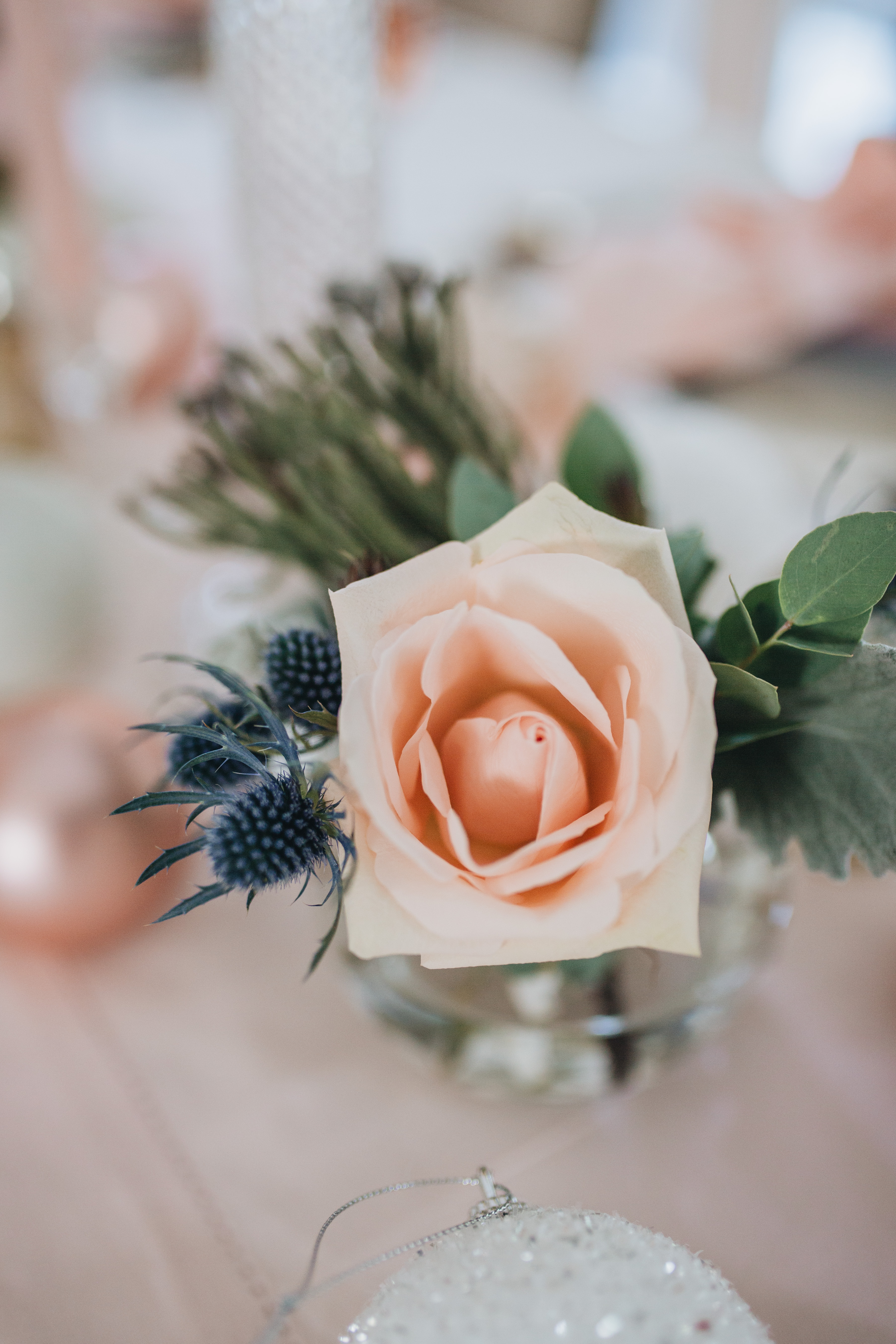 Pink-Pastel-Christmas-Rose-1