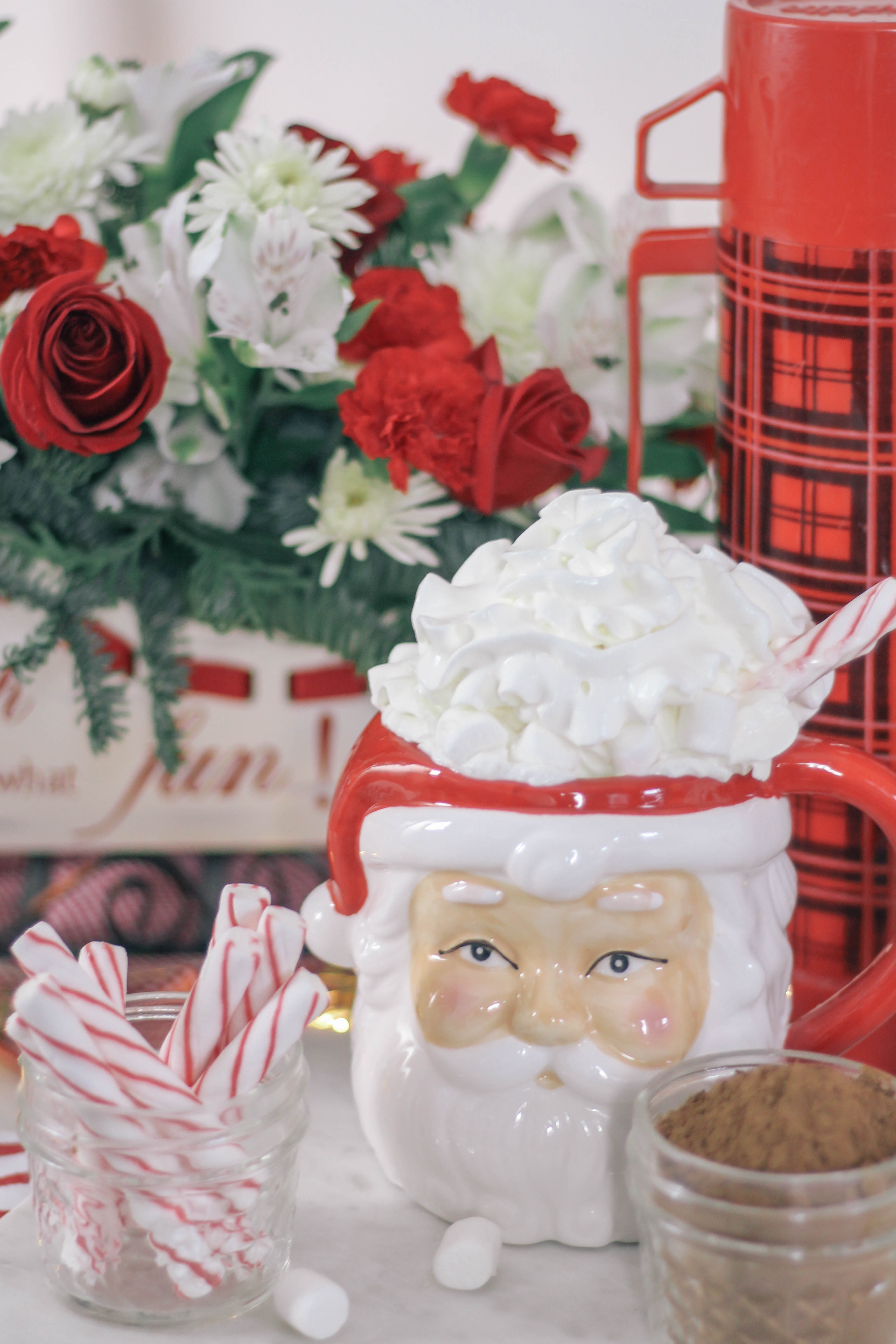 Keto-Healthy-Hot-Chocolate-Recipe-in-Santa-Mugs-0240