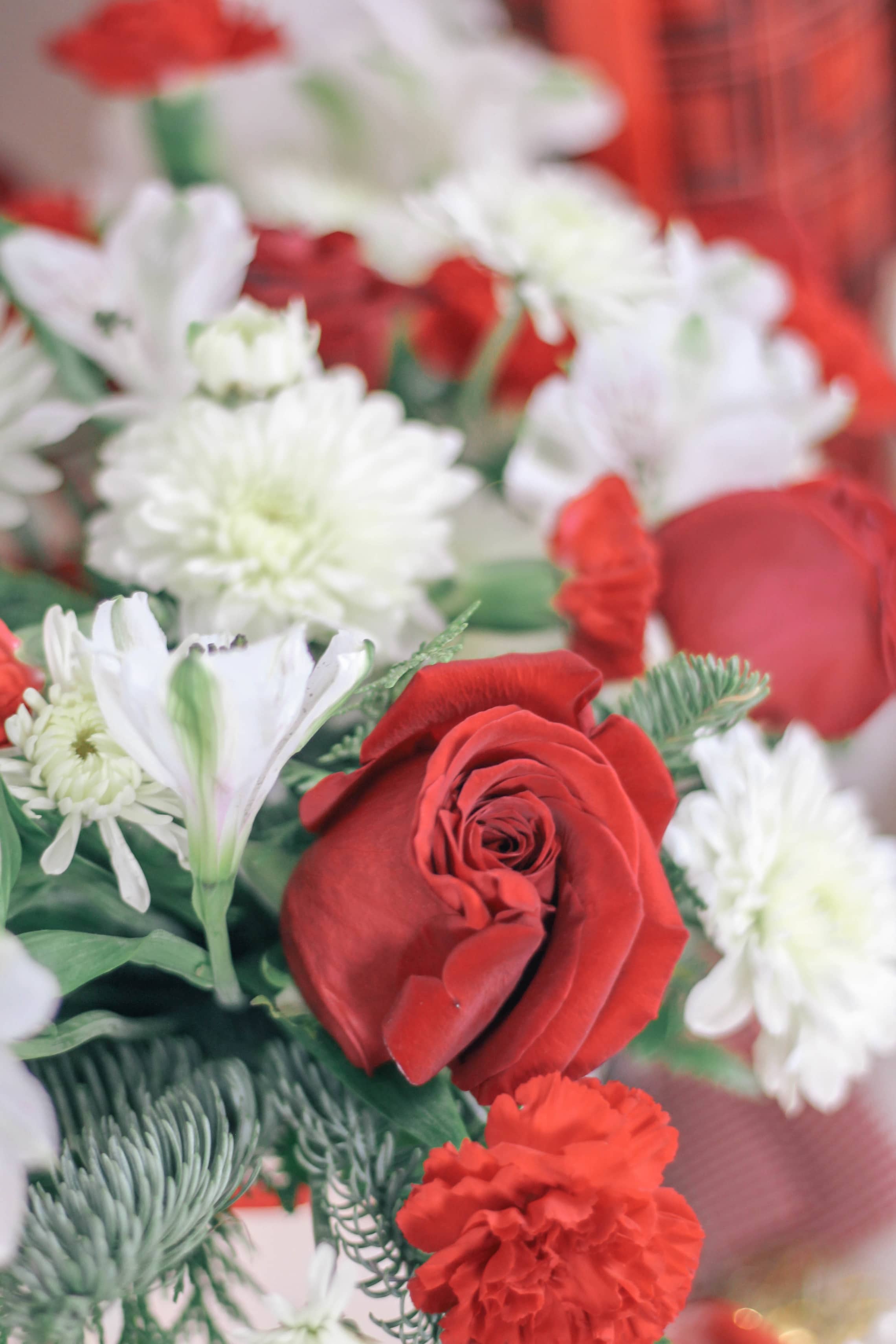 Keto-Healthy-Hot-Chocolate-Recipe-in-Santa-Mugs-0339